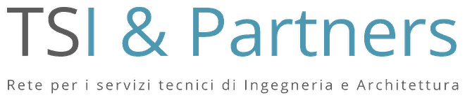 TS I & Partners network logo